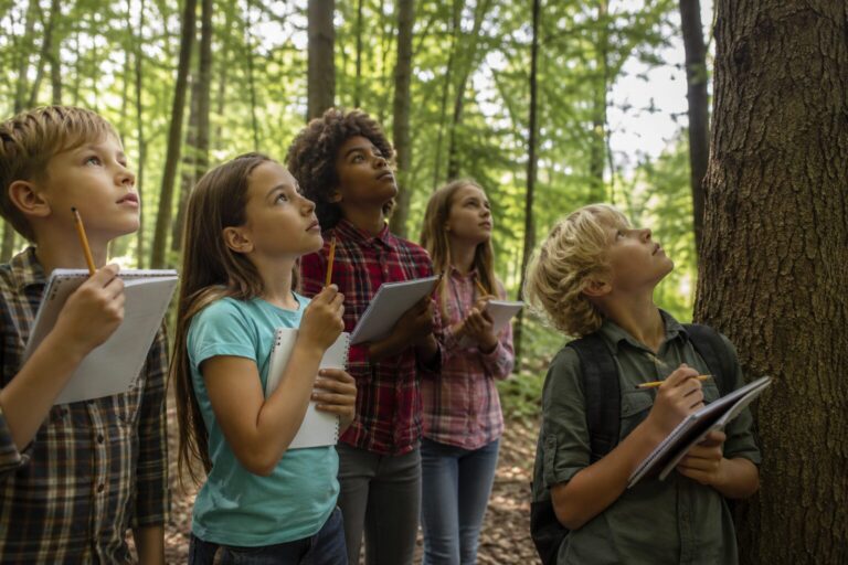 Groupe d'enfants carnet à la main, le nez levé vers la cime des arbres lors d'une balade en forêt