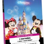 Coffret Wonderbox Disneyland Paris : Mickey et Minnie devant le château illuminé, 2 entrées pour 1 jour
